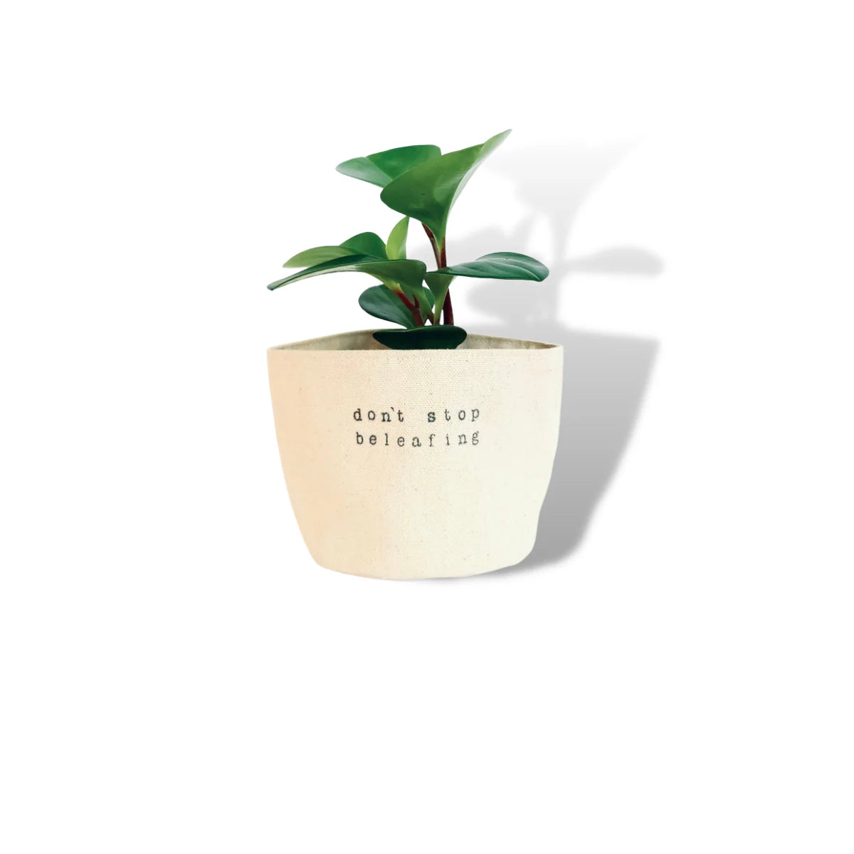Canvas Planter 6" don't stop beleafing