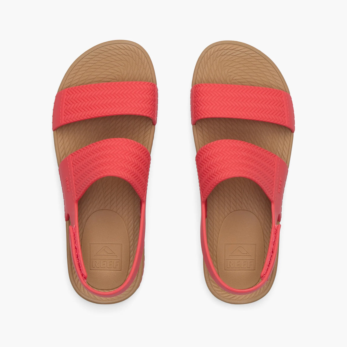 Women's Reef Water Vista in Hibiscus