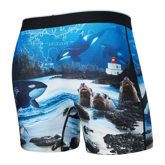SAXX VOLT BREATHABLE MESH Boxer Brief / Vancouver Island- Multi