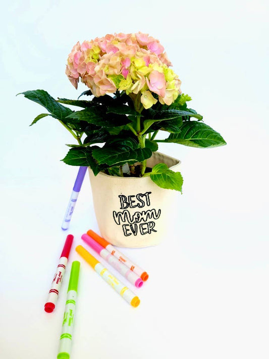 Best Mom Ever Colourable 4" Cotton Canvas Planter