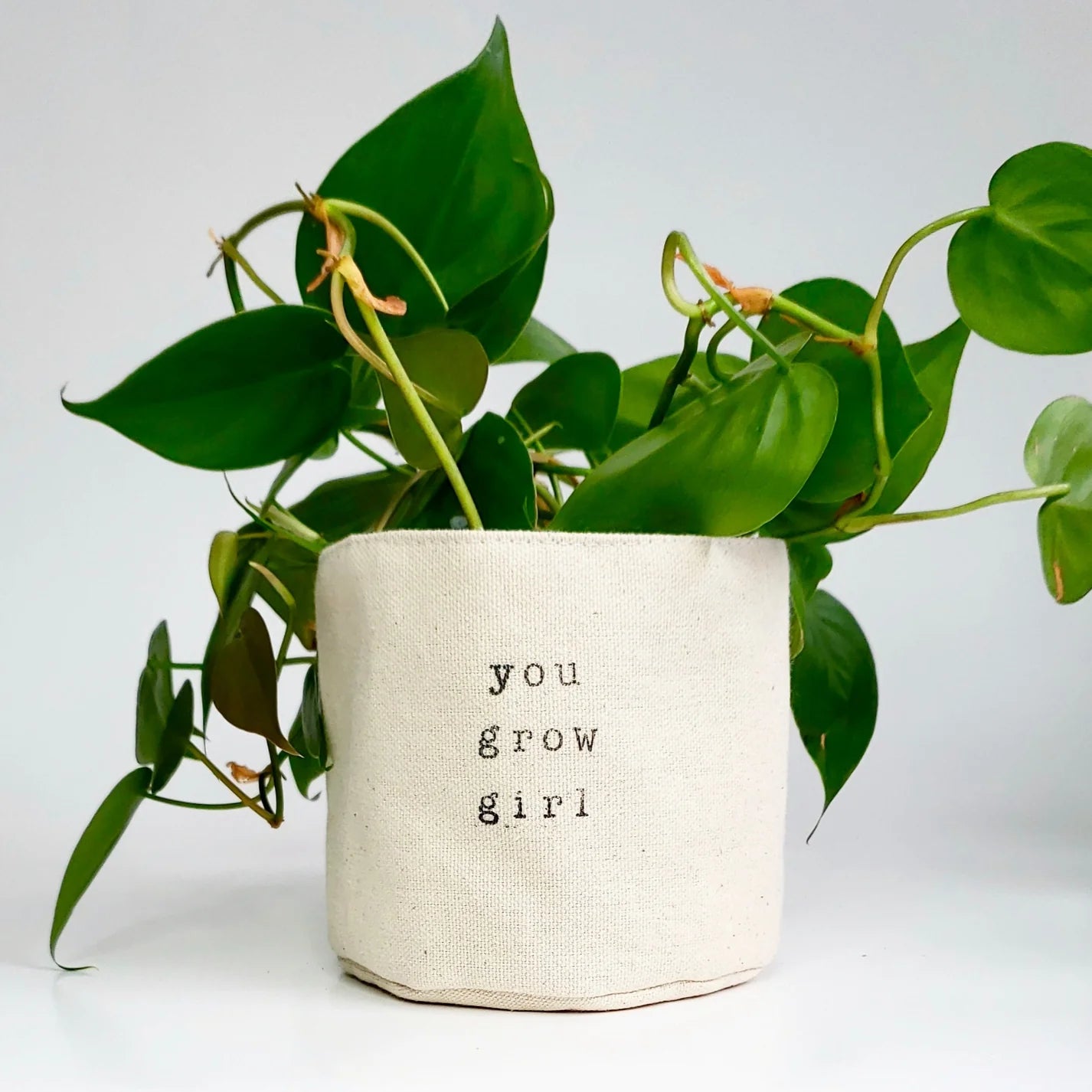 Canvas Planter 4" you grow girl