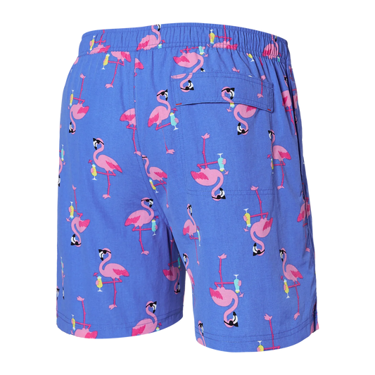 SAXX GO COASTAL CLASSIC VOLLEY Swim Shorts 5" / Flocktail Hour-Sport Blue
